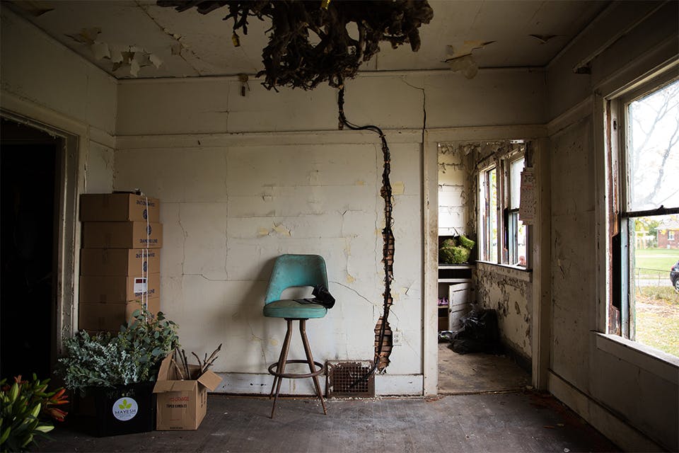 FLOWER HOUSE DETROIT The Journal